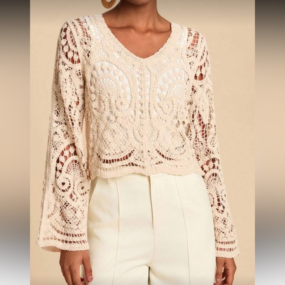 Elegant Cream Lace Top - Picture 4 of 7